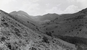 Looking west up the canyon into the headwaters of North Twin River, Toiyabe Mountains, Nevada: photographic print