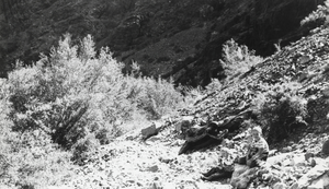 Dick and Gary Carver (identified from left to right) on trail coming out of the North Twin River, Nevada: photographic print