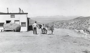 Bunkhouse and burros in Basic Magnesium camp: photographic print