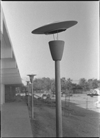 Set of photographs including Bicycle club, Golden Western, band rehearsal at Doolittle Park, vandalism at Doolittle, and sorority at Dottie's West House: image 001