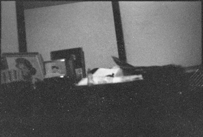 Set of photographs including Mrs. McGlothen, Madison Awards Day, Harold Freeman, Rae-Carrie Williams' wedding, and field day at Matt Kelly: image 001