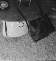 Set of photographs including members at Valley View Golf Club, and Yvonne Scott - Lawson wedding: image 001