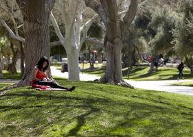 859111-Thumbnail Image.png