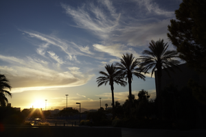 870509-Thumbnail Image.png