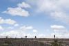 913505-Thumbnail Image.png