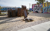 913520-Thumbnail Image.png