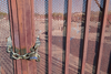 913620-Thumbnail Image.png