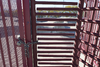 913623-Thumbnail Image.png