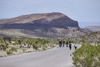 913710-Thumbnail Image.png