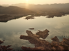 913828-Thumbnail Image.png