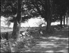 Unidentified road: black-and-white photographs