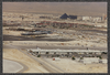 917322-Thumbnail Image.png