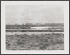 917665-Thumbnail Image.png