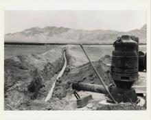 Photograph of irrigation pump and water line, Amargosa Valley, Nevada, 1980