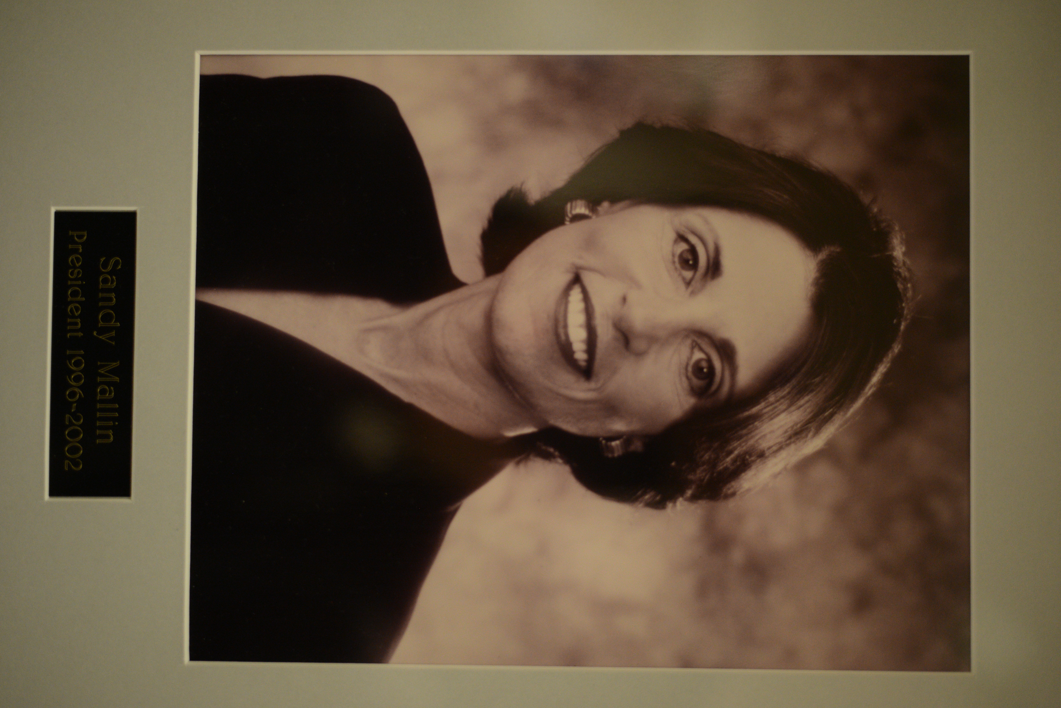 Portrait of Sandy Mallin, Temple Beth Sholom president, 1996-2002