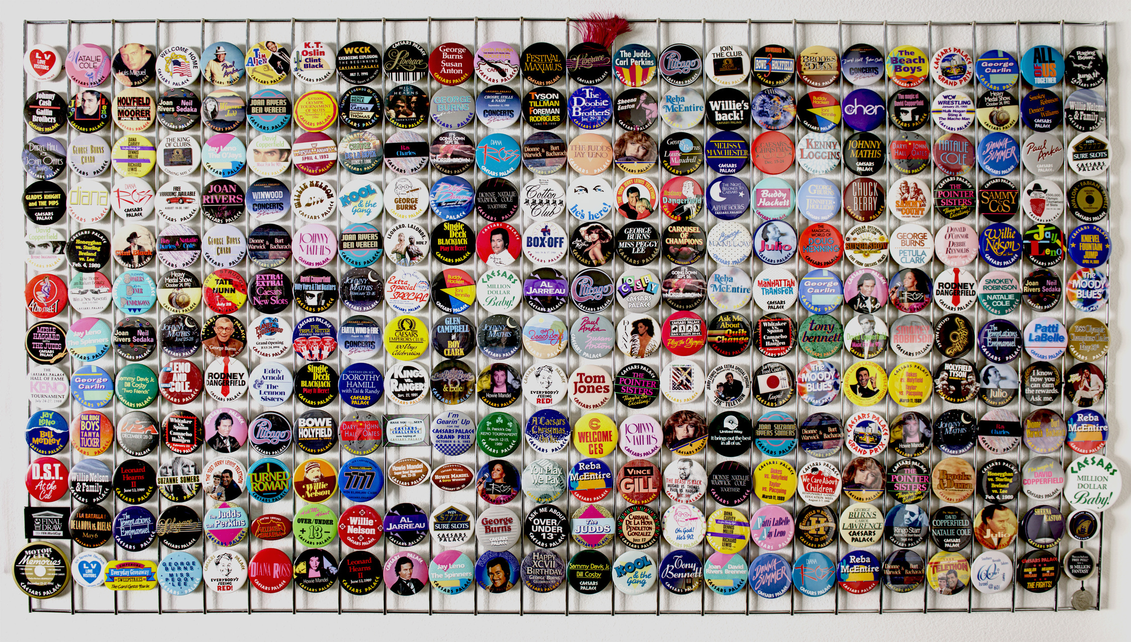 Photograph of the button collection of Gary Sternberg, 2015