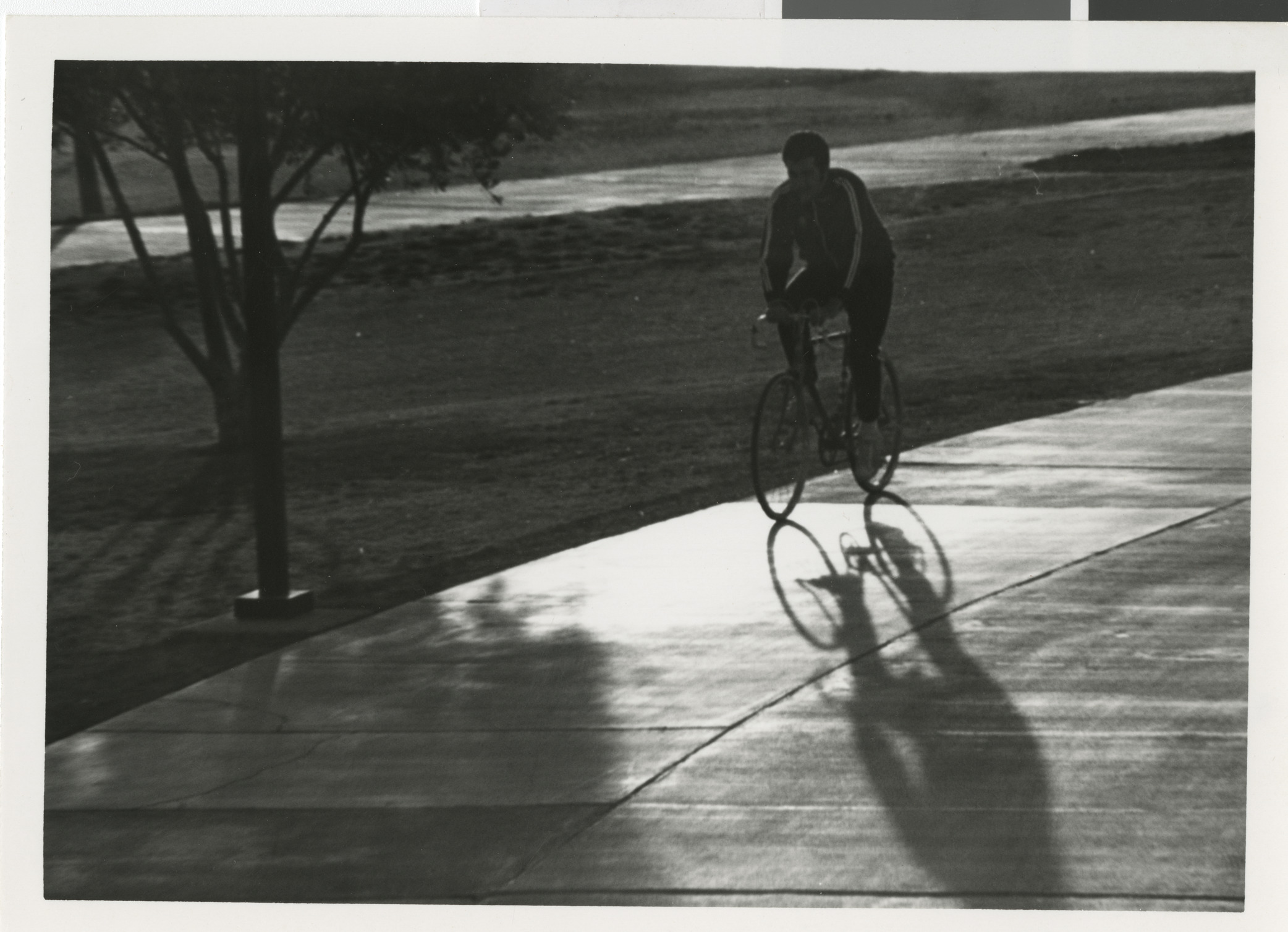 Photograph of Ron Lurie riding a bicycle