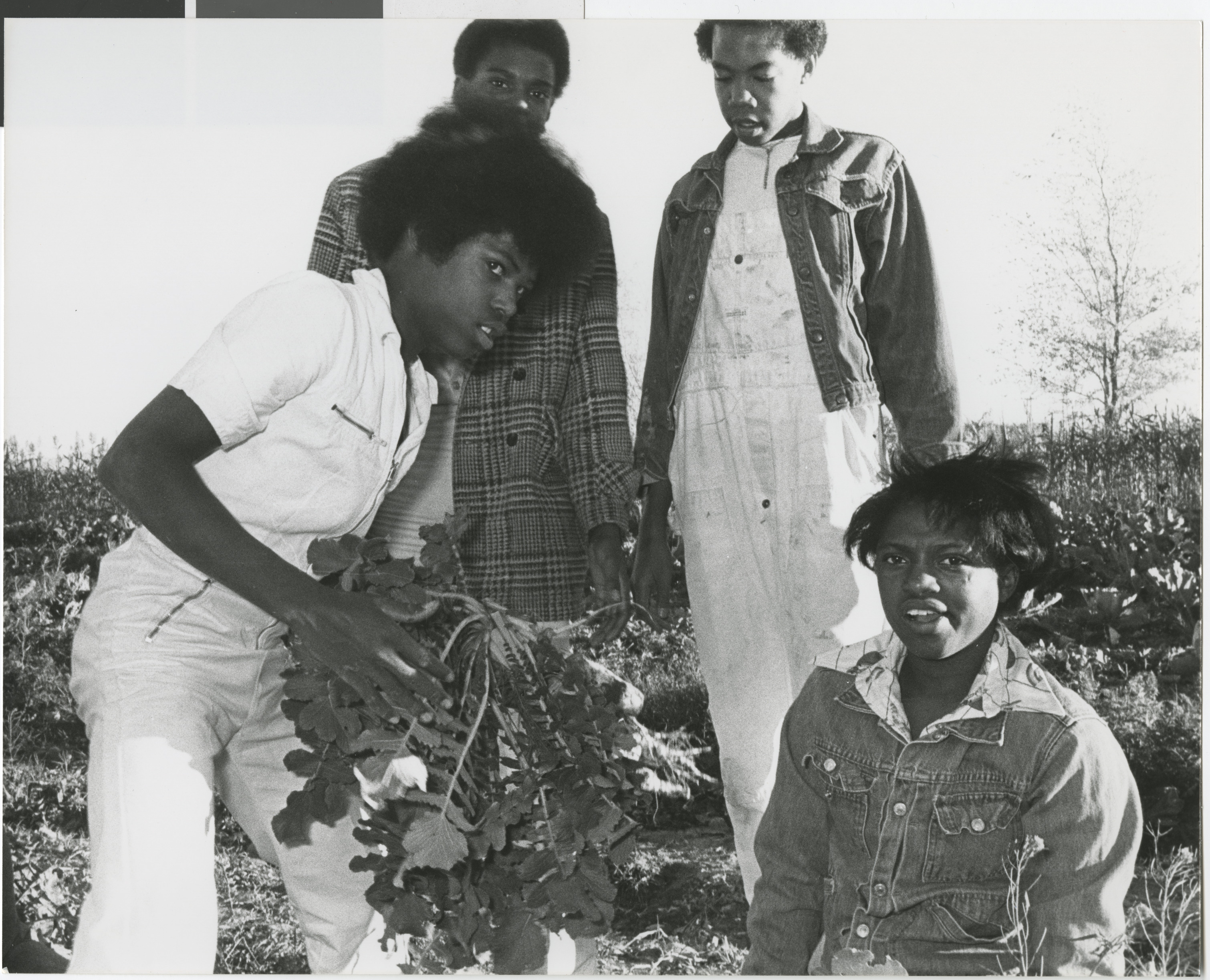 Photograph of community members planting trees and vegetables