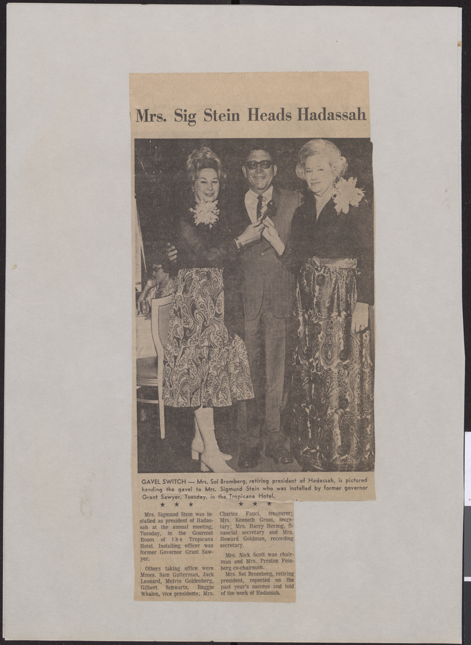 Newspaper clipping, Mrs. Sig Stein Heads Hadassah, publication and date unknown