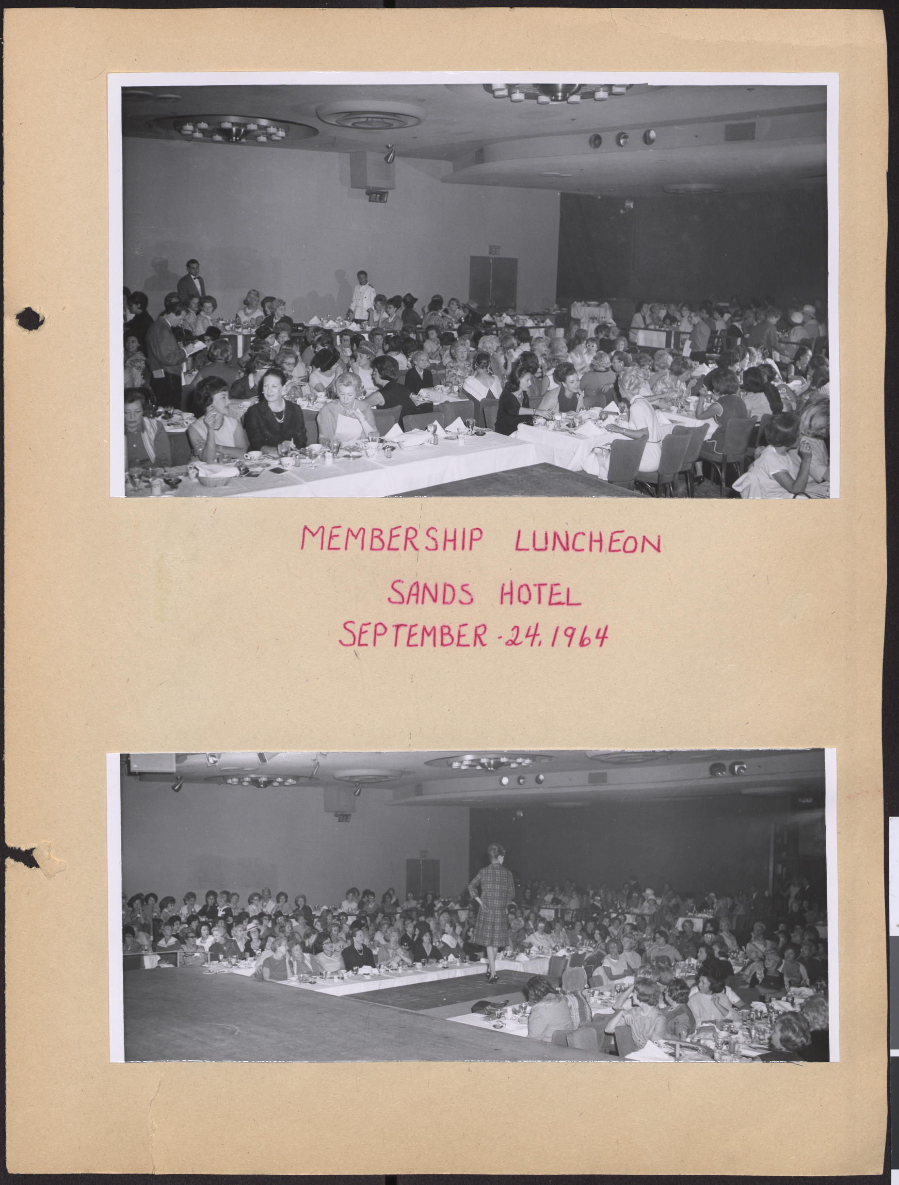 Photographs of Hadassah membership luncheon, September 24, 1964