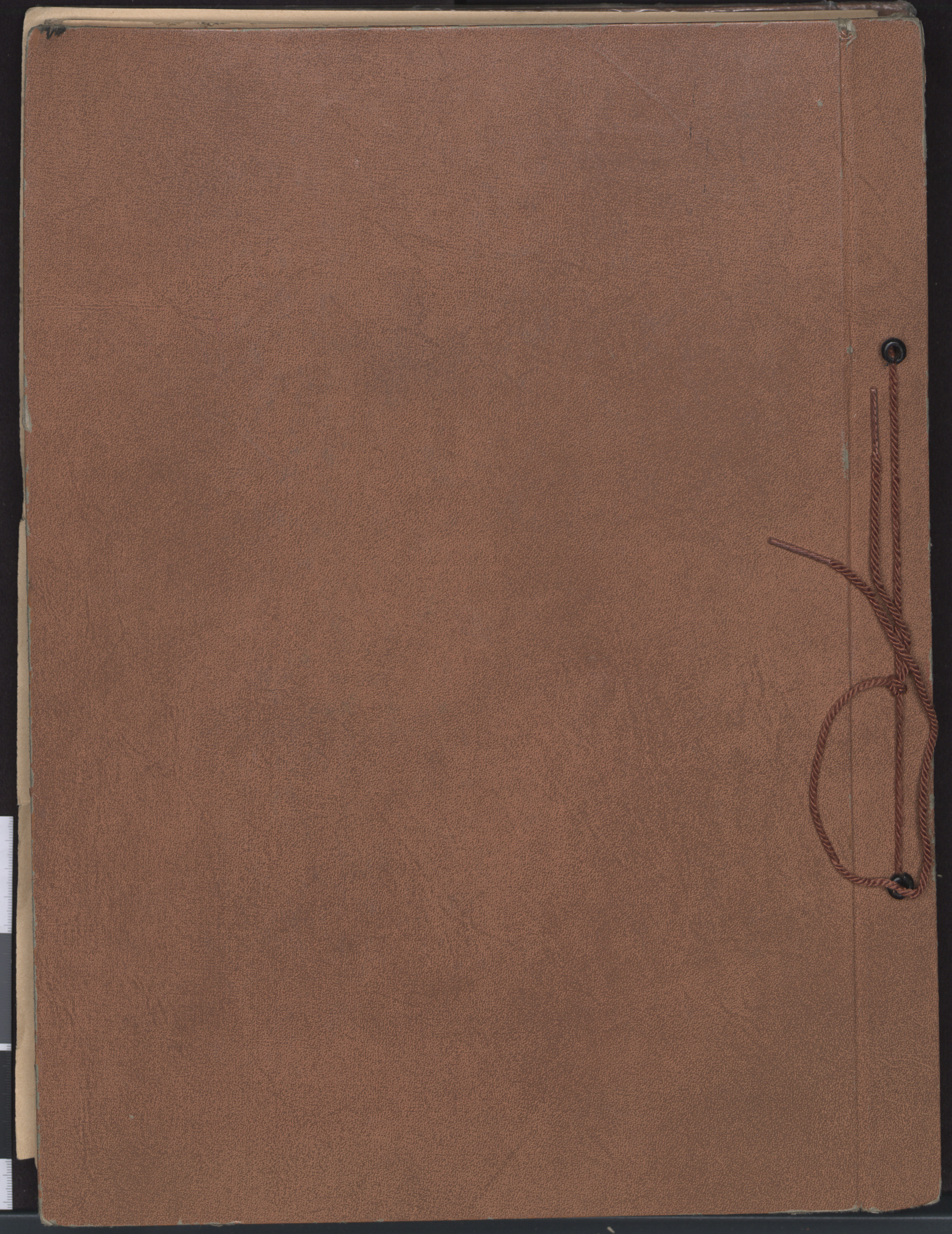 Hadassah scrapbook, back cover
