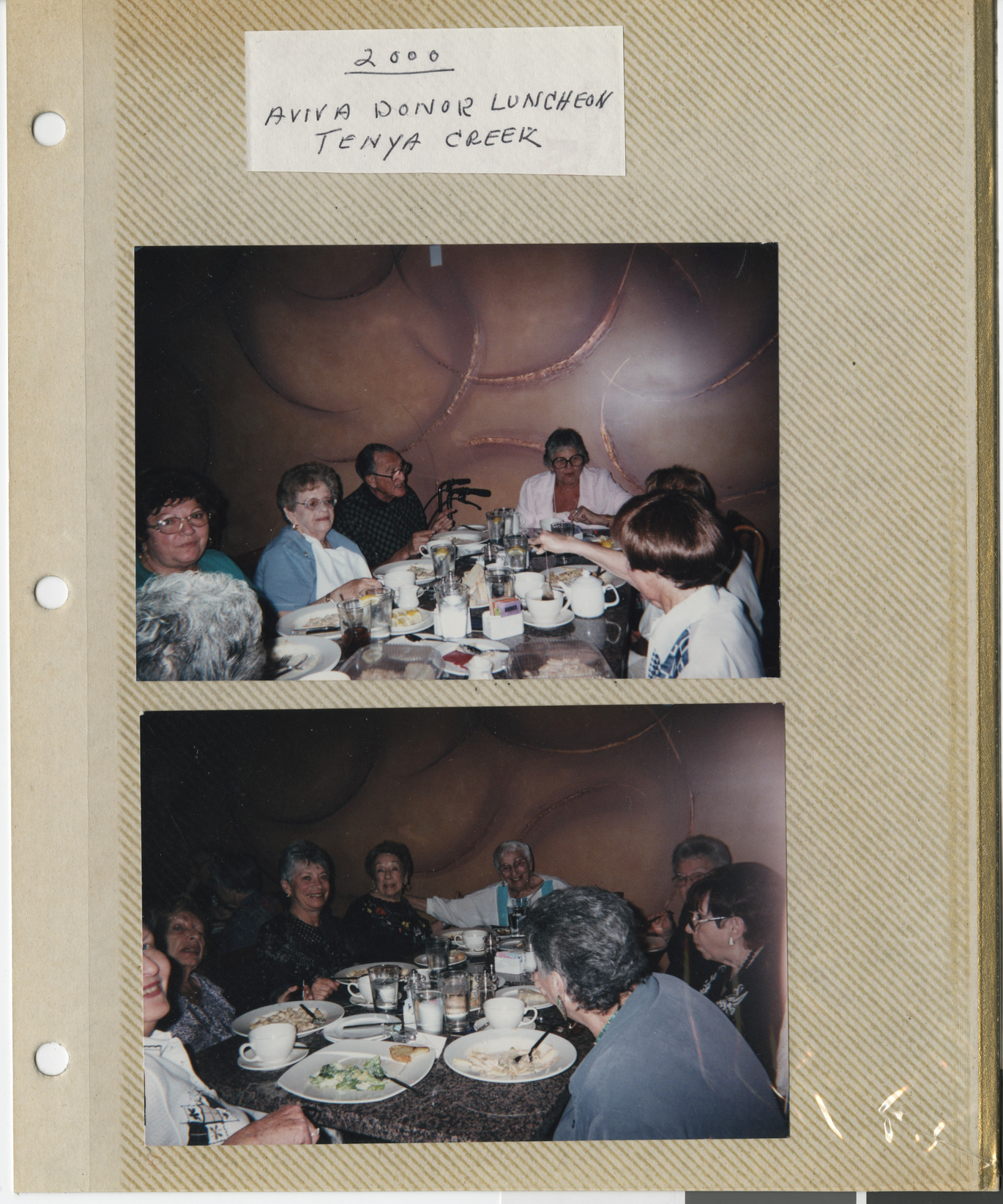 Photographs of the Aviva donor luncheon at Tenya Creek, 2000