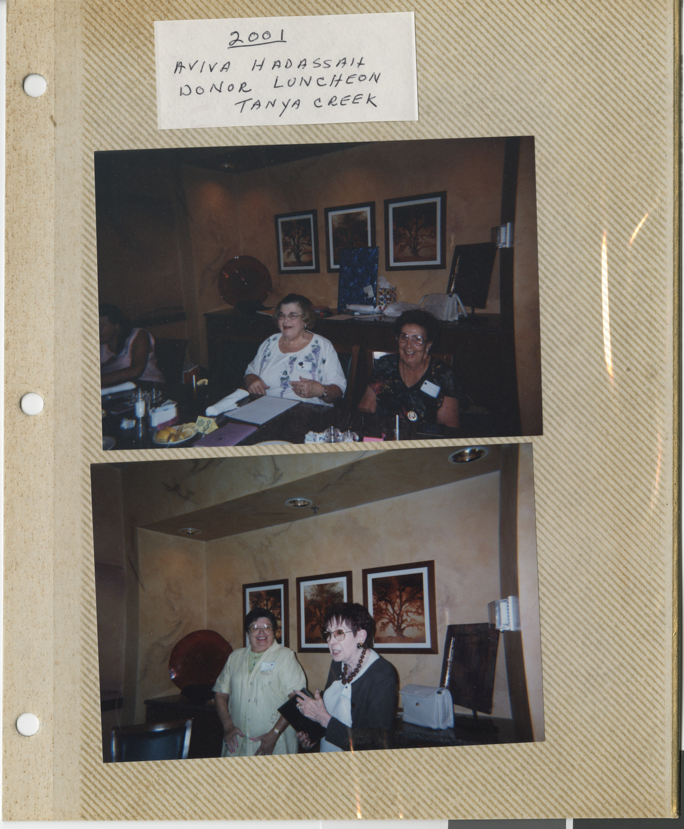 Photographs of the Aviva donor luncheon at Tanya Creek, 2001