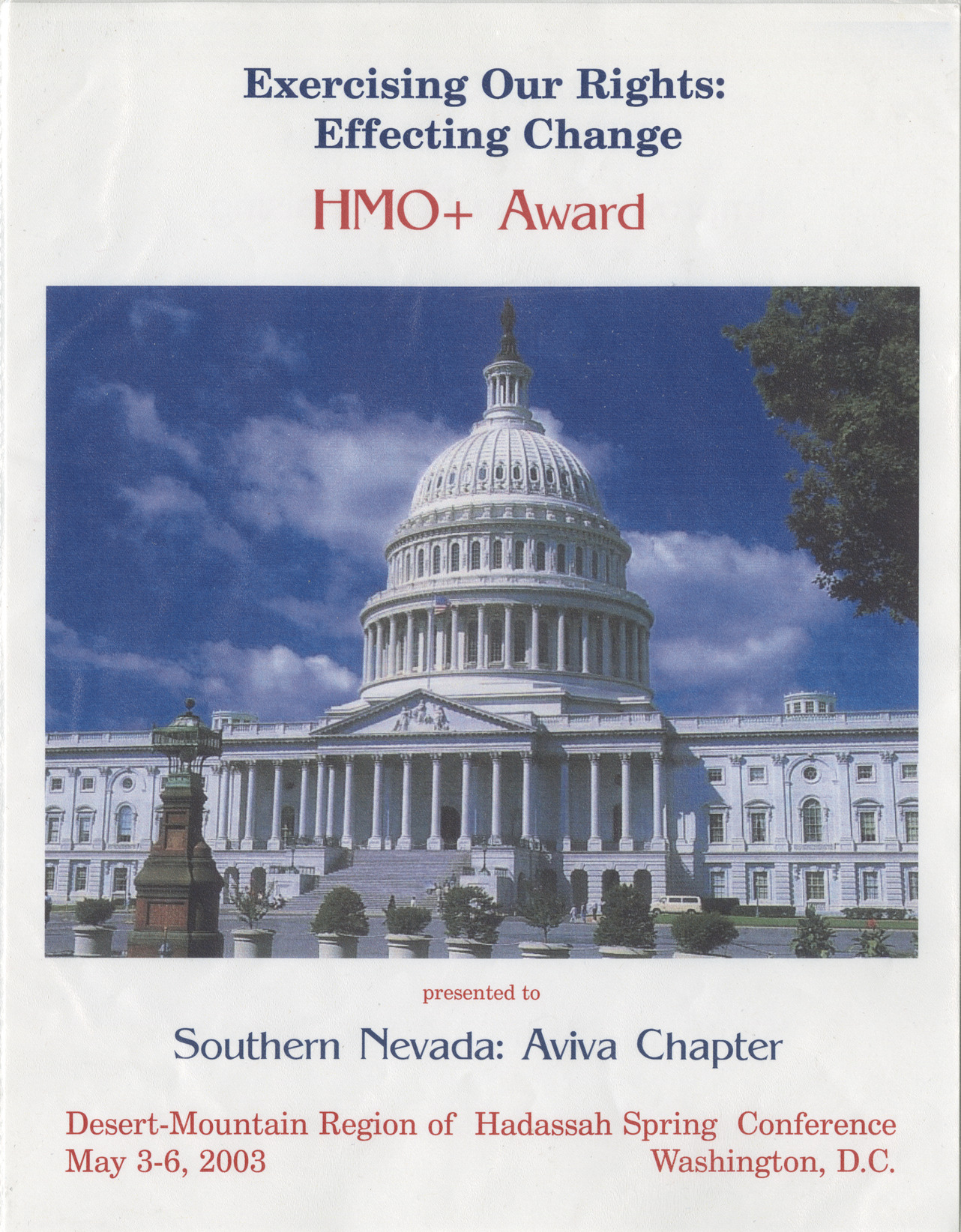 HMO+ award for Southern Nevada Aviva Chapter, May 2003