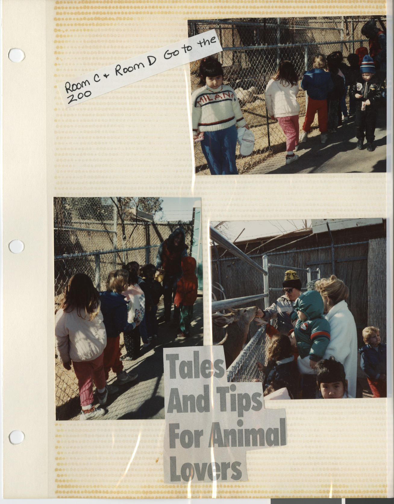 Temple Beth Sholom Preschool photo album, page 19