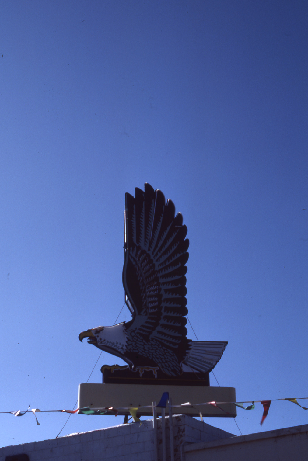 Neon Eagle roof mounted sign, Ely, Nevada: photographic print