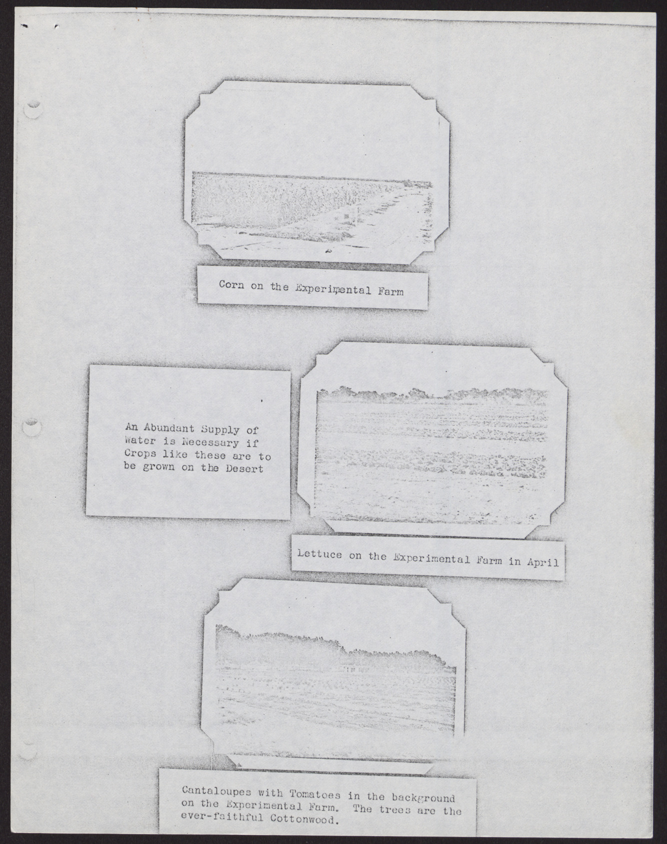 hln000621-026
