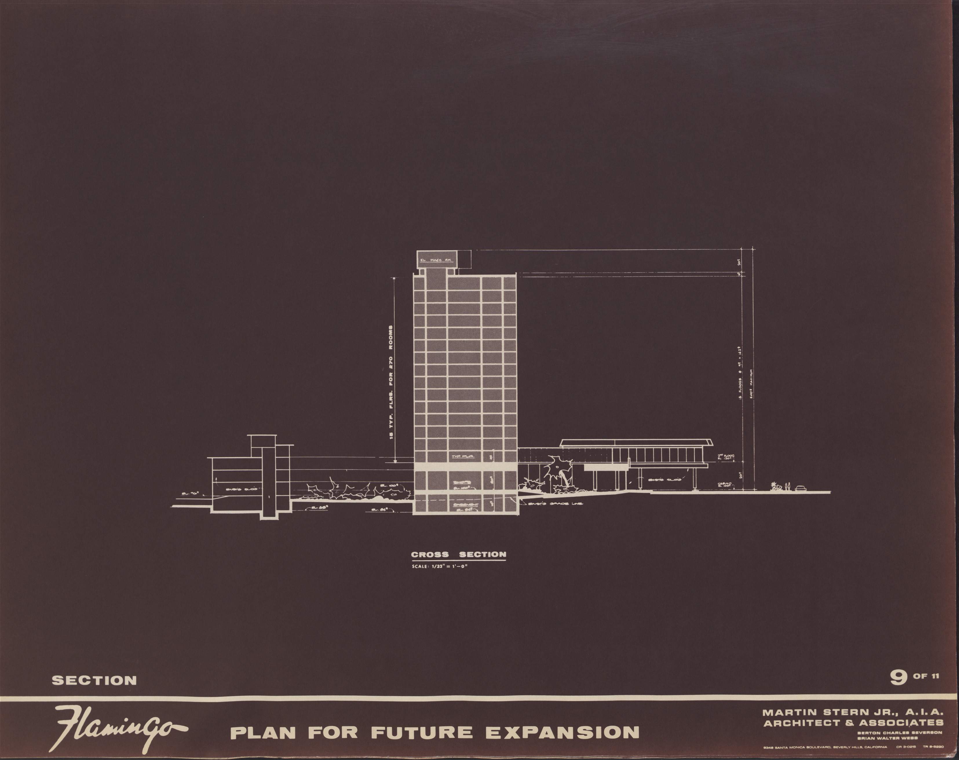 Flamingo Plan for Future Expansion Proposal, image 9